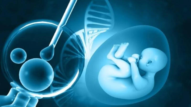 في كولومبيا.. الإعلان عن أول حمل ناجح باستخدام طريقة موجهة بالذكاء الاصطناعي